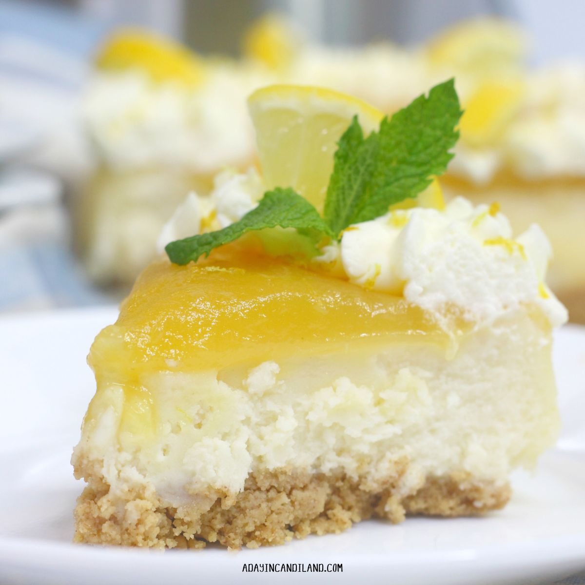 Slice of Lemon Curd Cheesecake with a sprig of mint and whipping cream. 