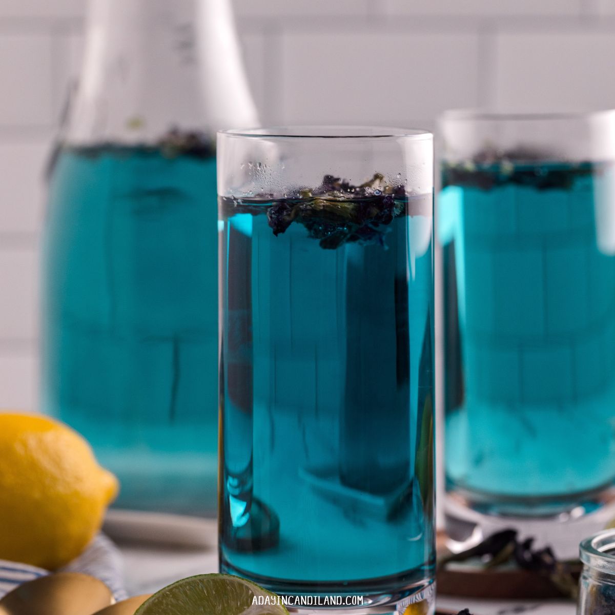 Butterfly Pea Flower Tea. Blue Tea in glasses. 