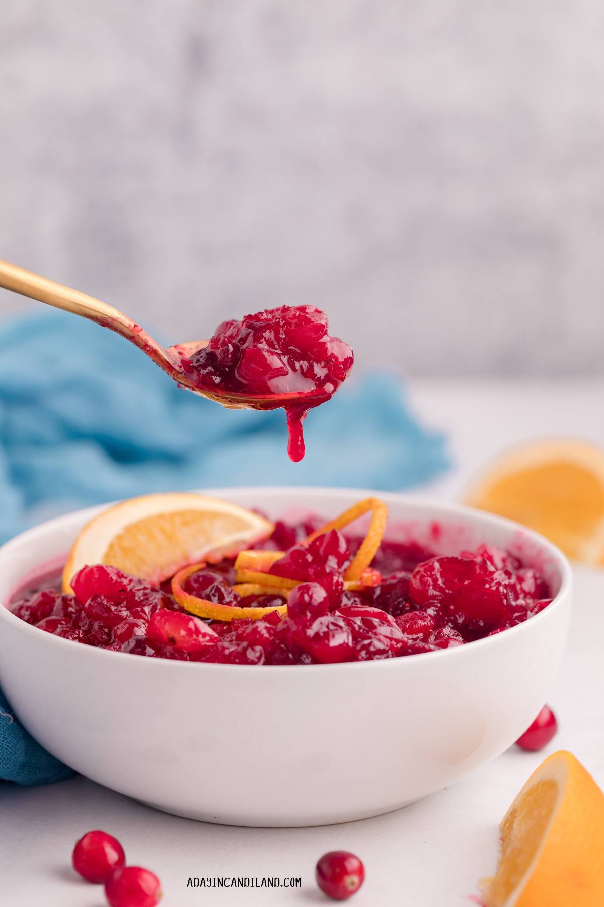 White bowl of Cranberry Sauce with spoon holding up a bite. 