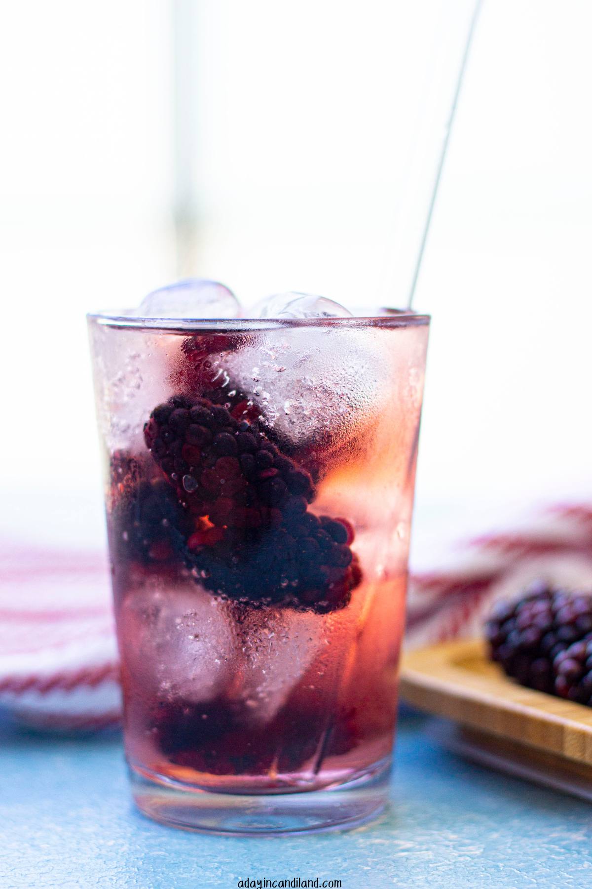 Glass of Hibiscus Green Tea spritzer with blackberries. 