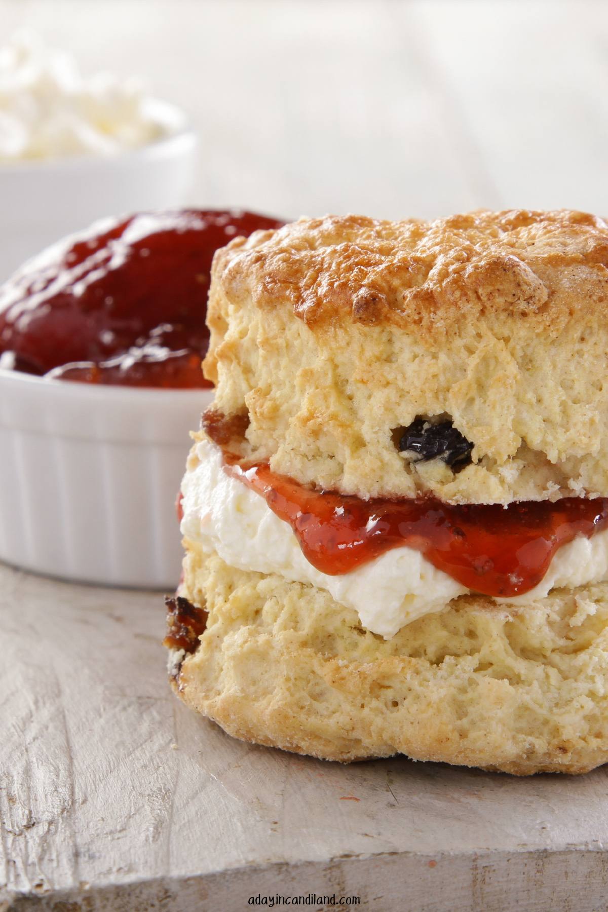 Plate with scone and jam. 