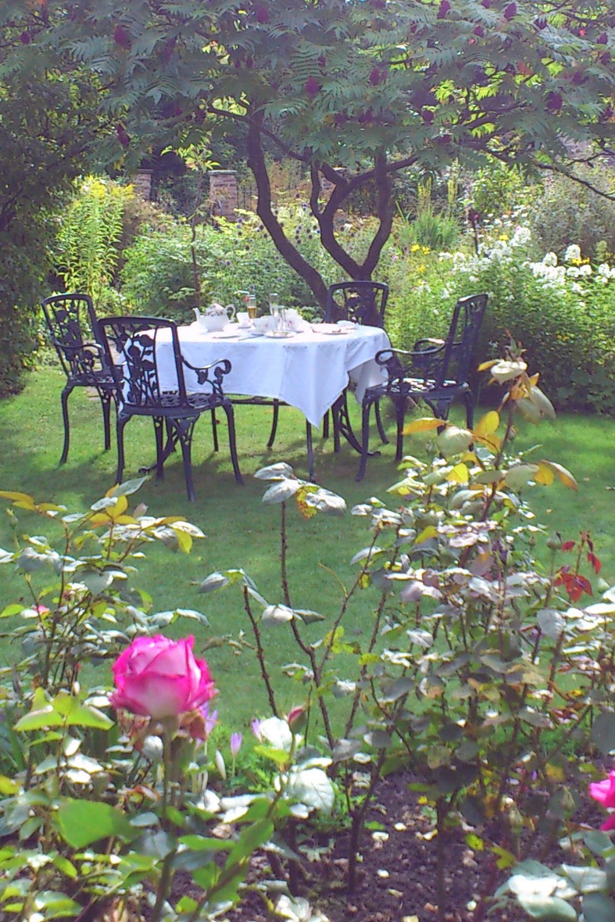 Gardent Tea Setting with table and chairs near a rose garden. 